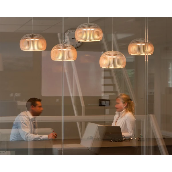 Secto Design Atto 5000 Cinop Meeting Room image