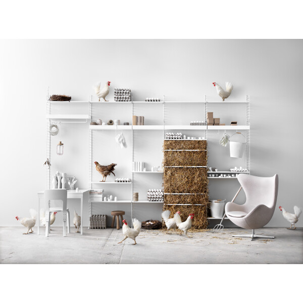 inspiration string system white image