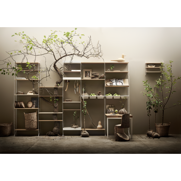 string system tree landscape image