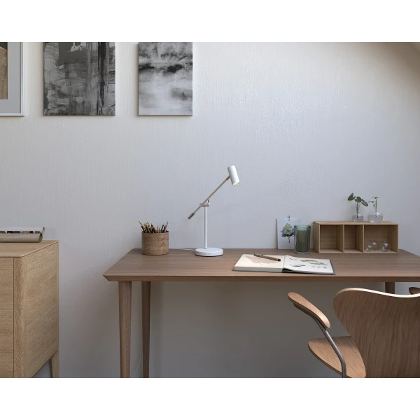 Cato 4752036 M 001 kuva