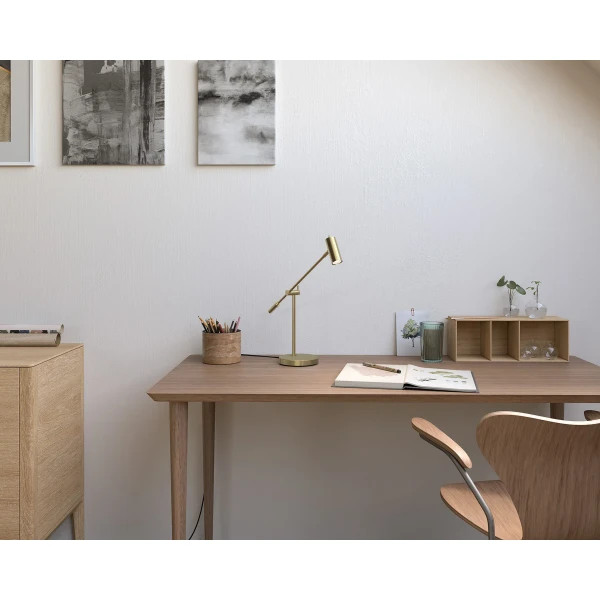 Cato 4752092 M 001 kuva