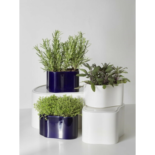 Artek RIIHITIE ruukku malli B koko M sininen image