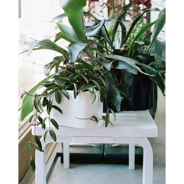 Riihite Plant Pot A small white glaze Bench 153 slatted top white lacquer master image