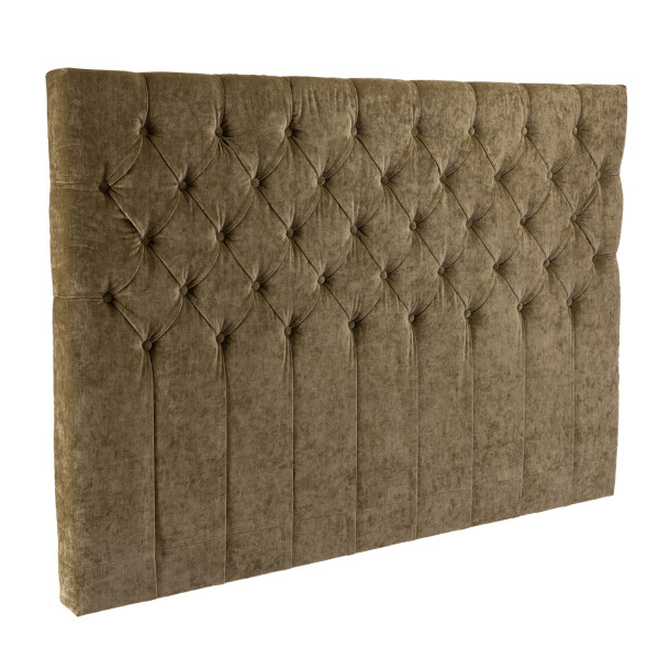 Eden Exclusive paaty sammal image