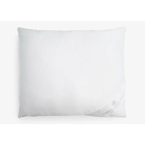 Carpe Diem Beds SILK tyyny  kuva