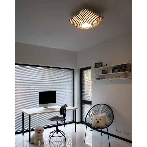 Secto Design Kuulto 9100 study image
