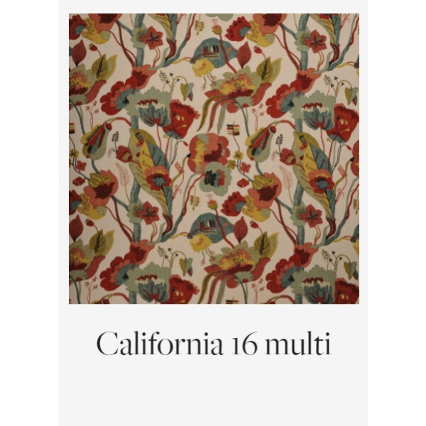 California 16 multi kuva