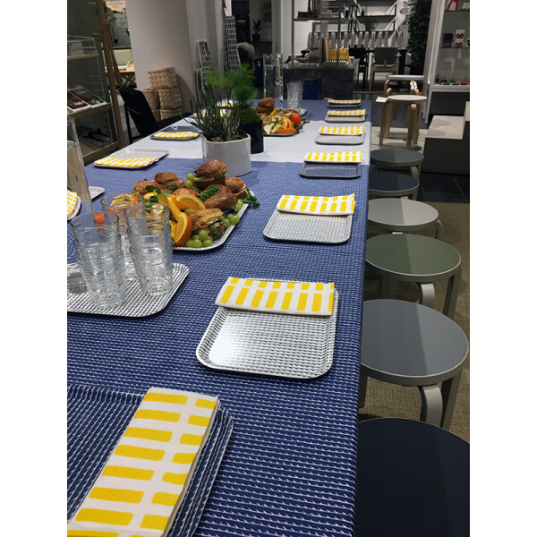 Artek RIVI "vahakangas" sininen-valkoinen 145x230cm kuva