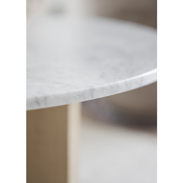 Brooksville white Carrara marble detail kuva