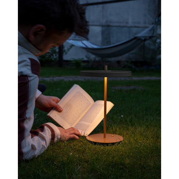 UMAGE Asteria Move anthracite grey kuva