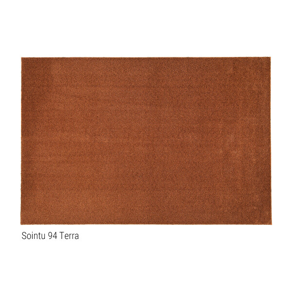 Sointu terra 94 kuva