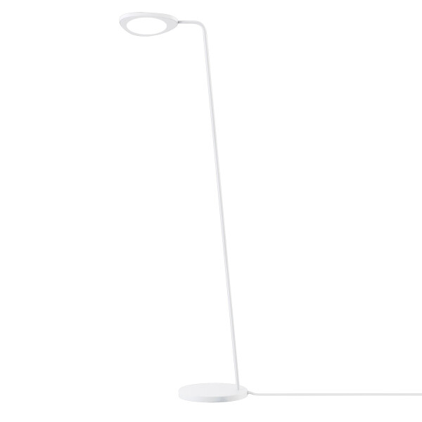 Leaf floor white light kuva