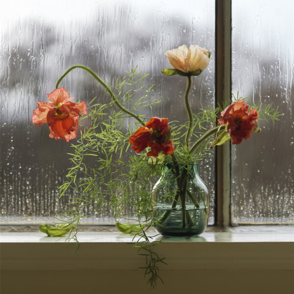 Muuto dark green silent vase 11 image