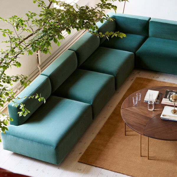 ATD Multiple Pinwheel HM7 Oiled Walnut Brass kuva