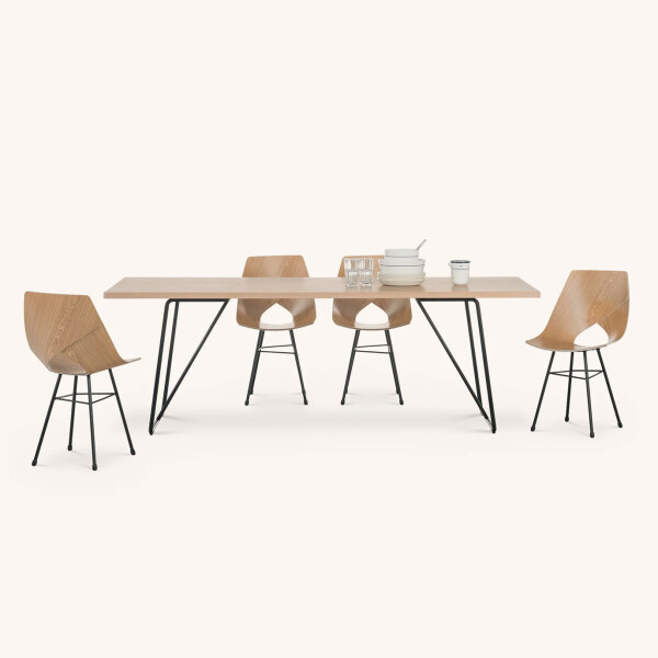 TAC Limi tuoli tammi ryhmakuva1 kuva