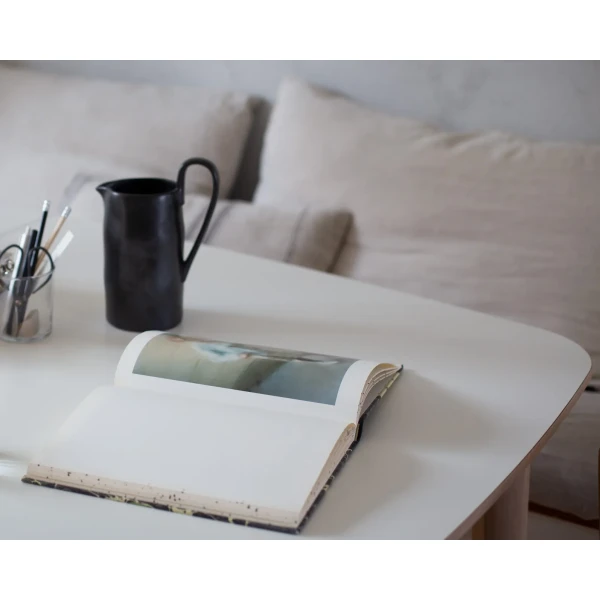 119EHH close up2 kuva