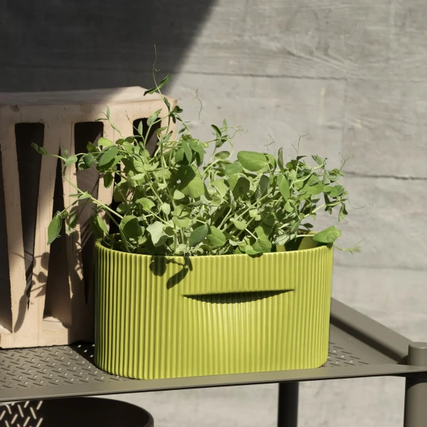 Ridge planter 13 moss green muuto kuva