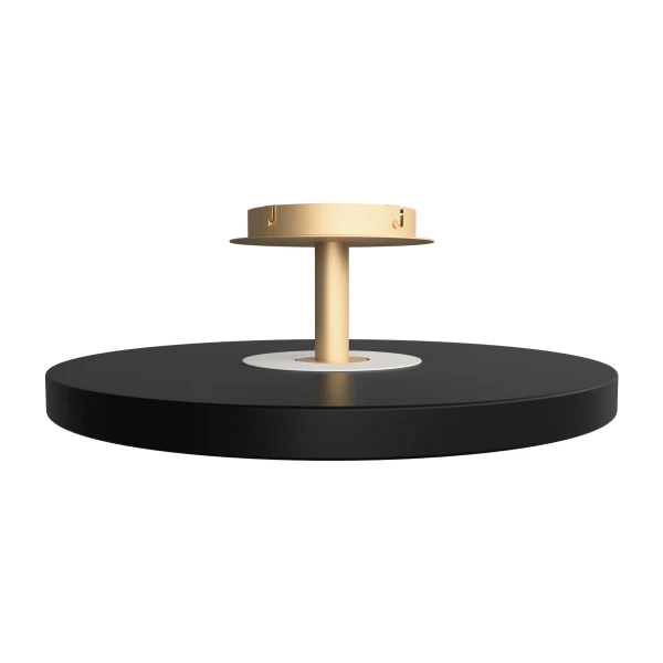 UMAGE packshot 2331 Asteria Up large black image