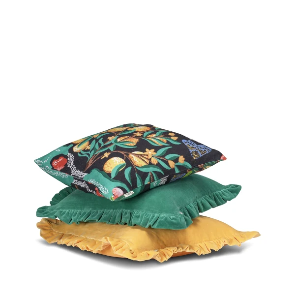 CCBO55BK CCFR55GR CCFR55YE kuva