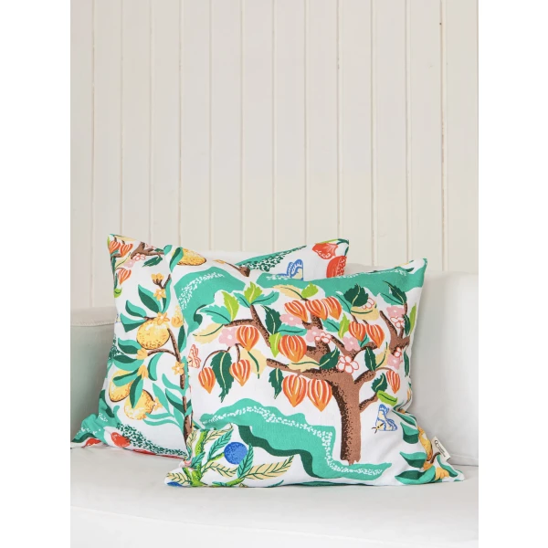 CCBO55WH CCBC55WH kuva