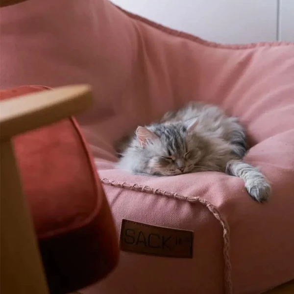 8573011 Cobana Lounge Chair Rose 8 97768340 image