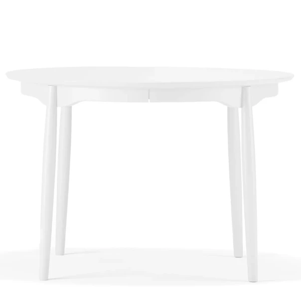 Stolab Carl table birch 115 white 21 0101 kuva