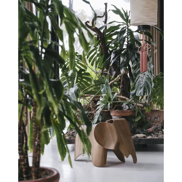 8006752 Eames Elephant Plywood Cherry v fullbleed 1440x image