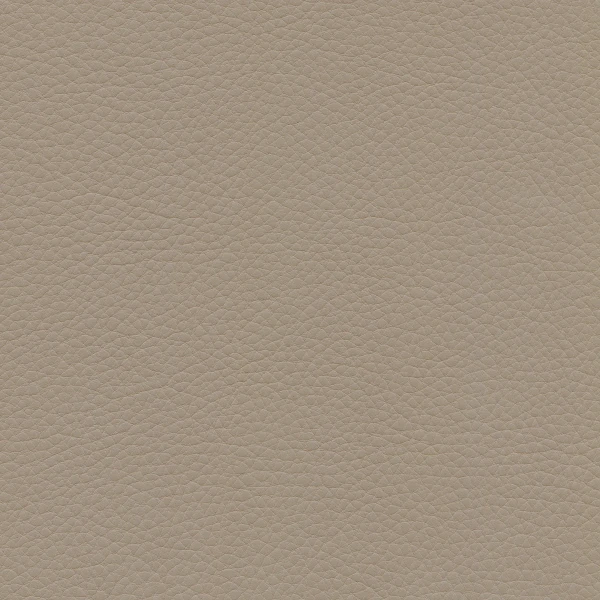 251566 leather natural 78 dark sand sRGB master image