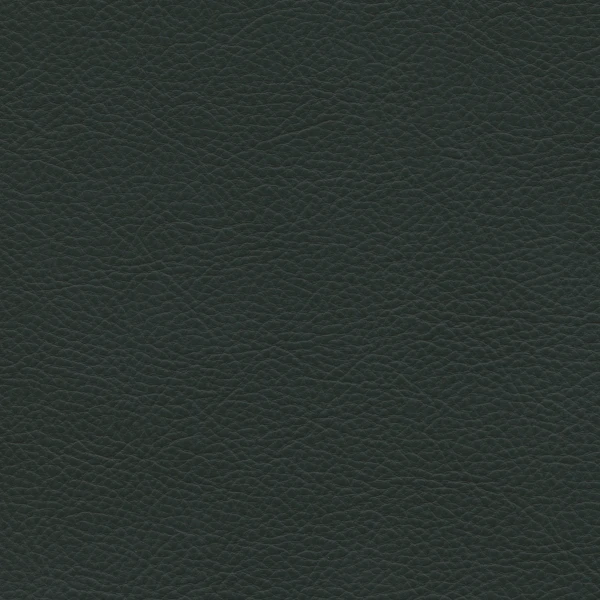 2361644 leather 59 jade sRGB master image