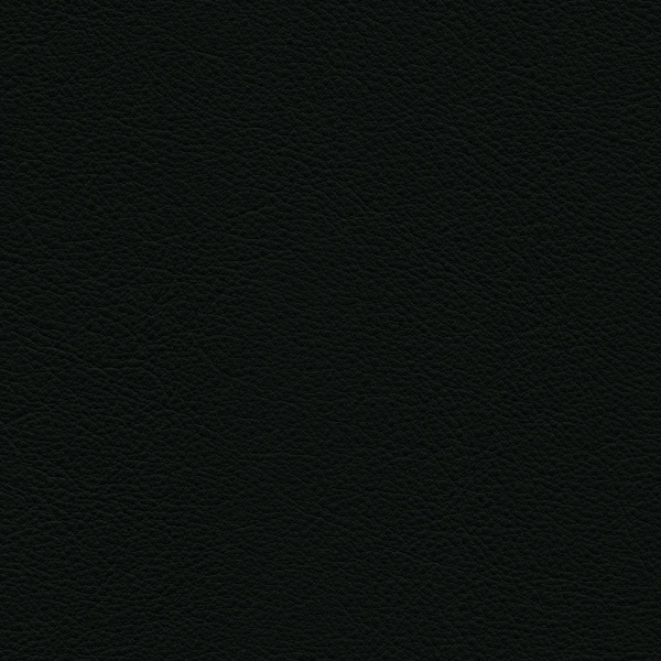 3473211 leather premium f 66 nero sRGB master image