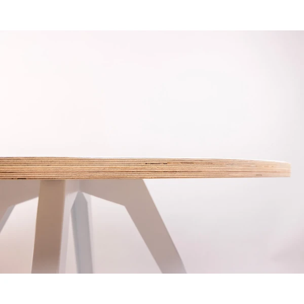 Liima Bergbo Table 120 White top side kuva