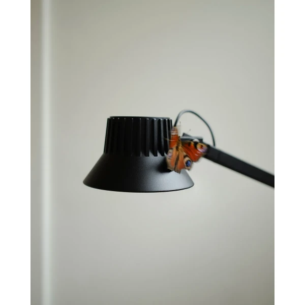 Editorial dedicate floor lamp black kuva