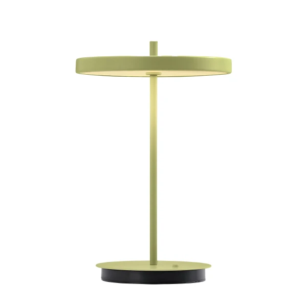 UMAGE packshot 2628 Asteria Move monochrome leaf 3 image